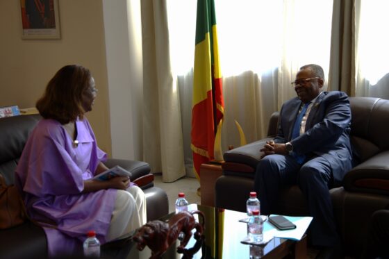 AUDIENCE ENTRE LE MINISTRE DE LA RÉFORME DE L’ÉTAT ET DES RELATIONS AVEC LE PARLEMENT ET LA DIRECTRICE DU BUREAU DES PAYS DE L’ORGANISATION INTERNATIONALE DU TRAVAIL (OIT)